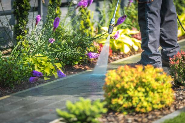 Reliable Palmyra, WI Pressure Washing Services Solutions