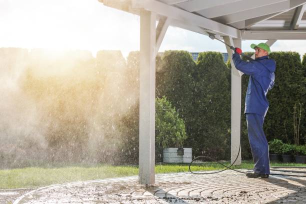 Best Driveway Pressure Washing  in Palmyra, WI