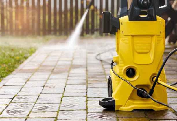 Best Soft Washing  in Palmyra, WI